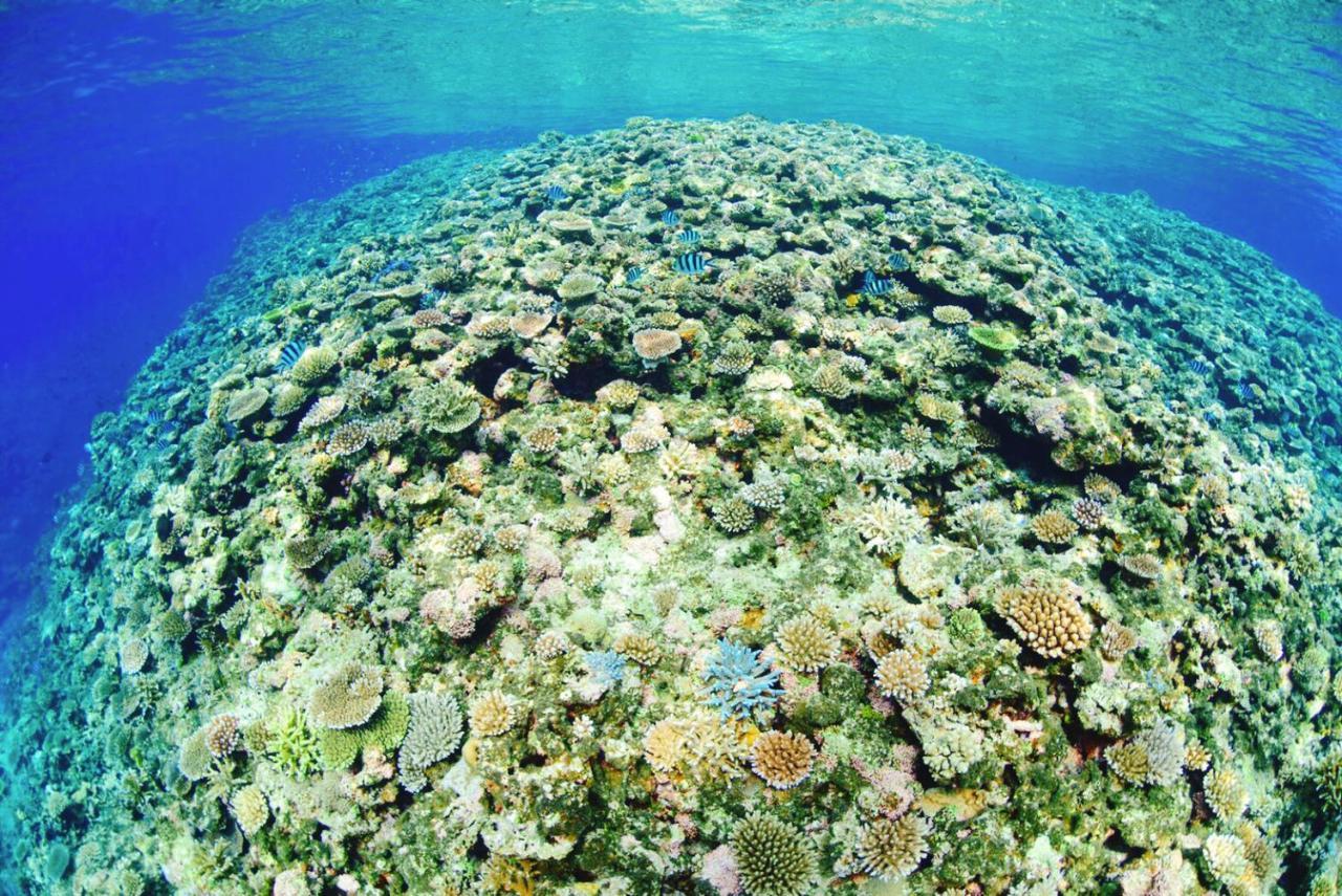 Отель Joya Ishigaki  Экстерьер фото